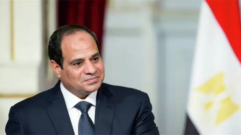 الرئيس السيسي يوجه رسالة لفريال أشرف: «شرفتينا ورفعتى راسنا كلنا.. تحيا مصر بيكم»