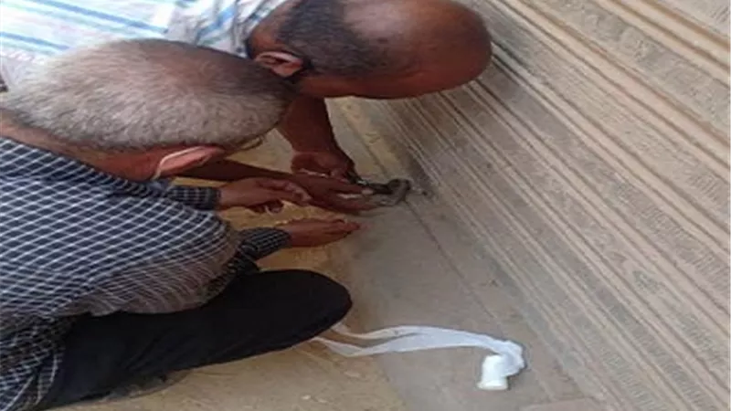 غلق ٩ مراكز للدروس الخصوصية بالشرقية