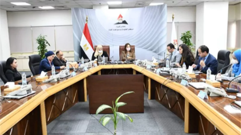 وزيرة التخطيط ترأس اجتماع اللجنة الوزارية للمشروع القومي لتنمية الأسرة