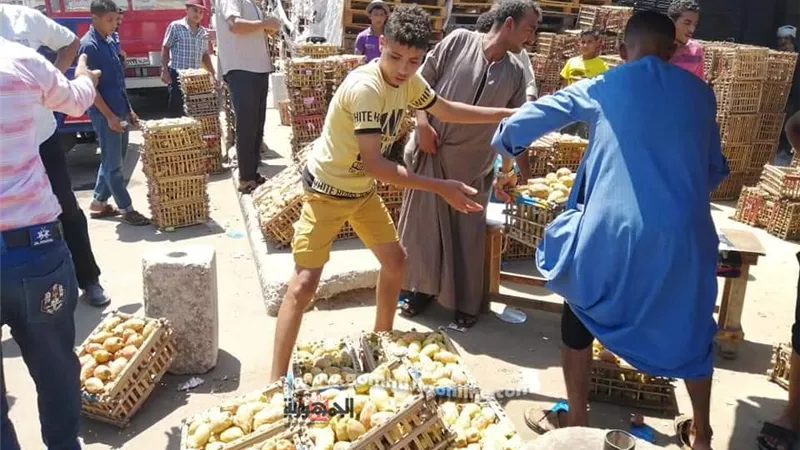 ٣حملات لازالة الاشغالات من شوارع حي وسط
