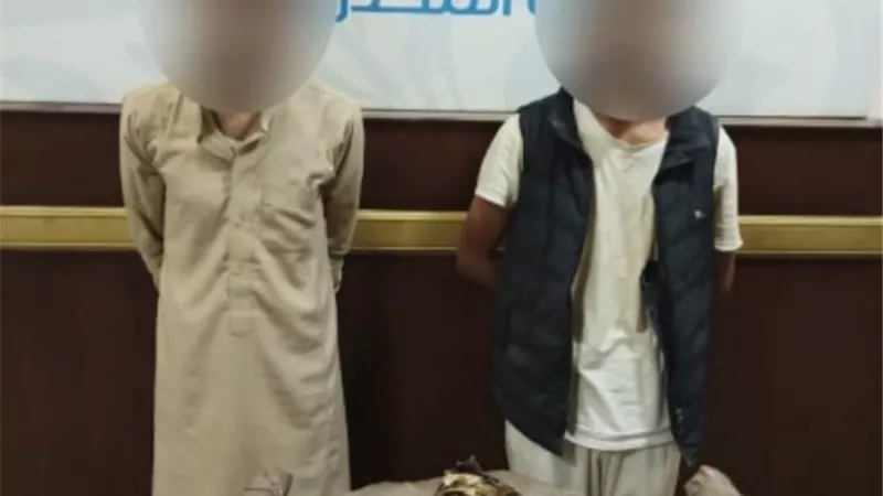 ضبط كوكتيل مخدرات بحوزة 4 عناصر إجرامية بالقاهرة