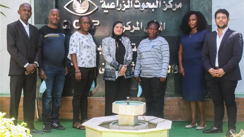 المركزي لمتبقيات المبيدات .. تدريب لممثلي ٦ دول افريقية بالتعاون مع الوكالة الدولية للطاقة الذرية