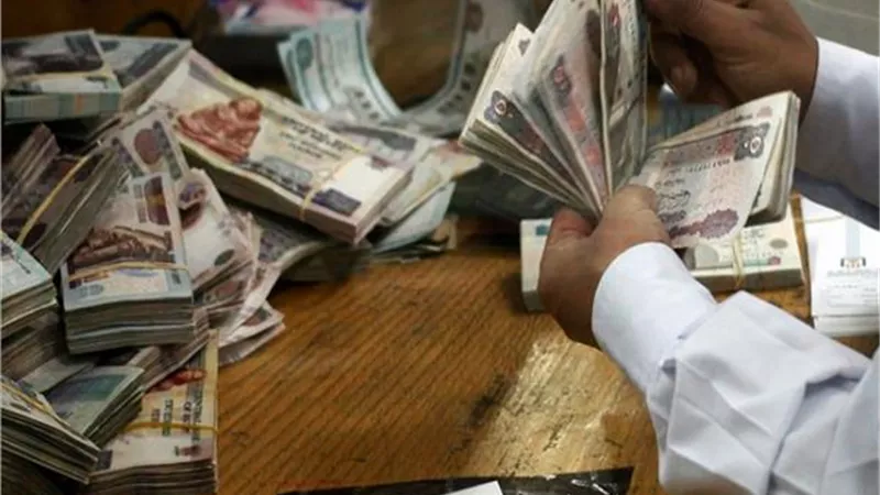 المالية : ٣,٩ مليار جنيه للدعم النقدى وسعر الفائدة لوحدات الإسكان الاجتماعى