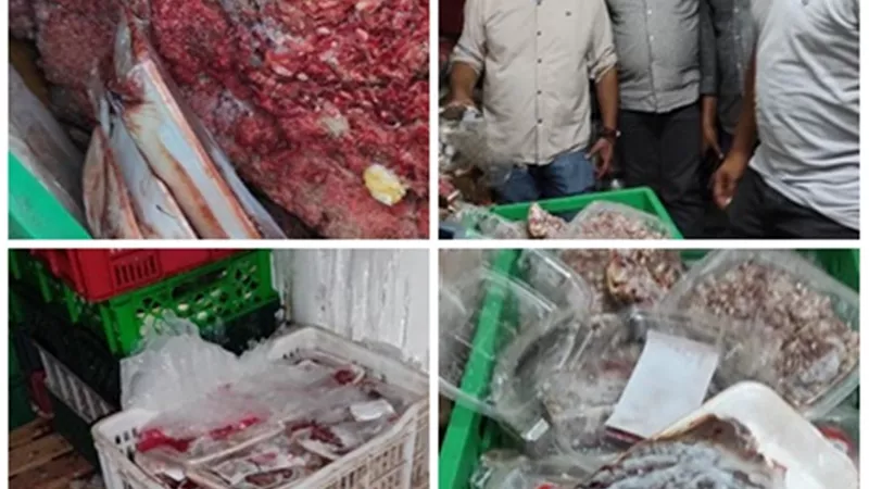 ضبط لحوم فاسدة بشبين الكوم