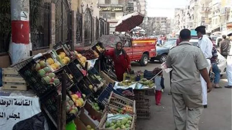 حملات يومية لفرض سيادة القانون على المتعديين على الأراضي الزراعية وحرم الطرق بالشرقية