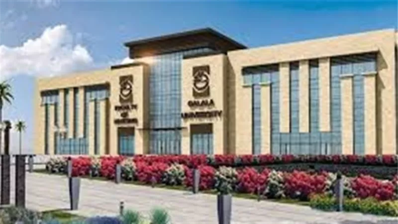 قرار رئاسي .. 200 منحة لخريجي الهندسة والحاسبات للدراسة بالجامعات الأهلية