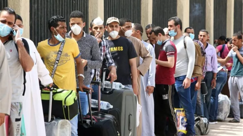 تأسيس شركة مساهمة مصرية لإلحاق العمالة بالخارج