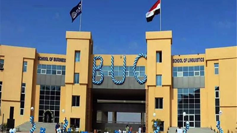 ارشيفية
