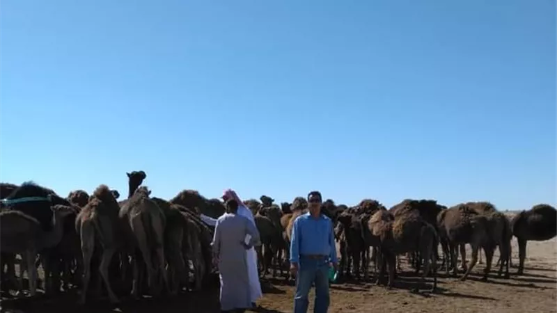 10 مليون جنيه ميزانية مبدئية لمكافحة التصحر بمطروح
