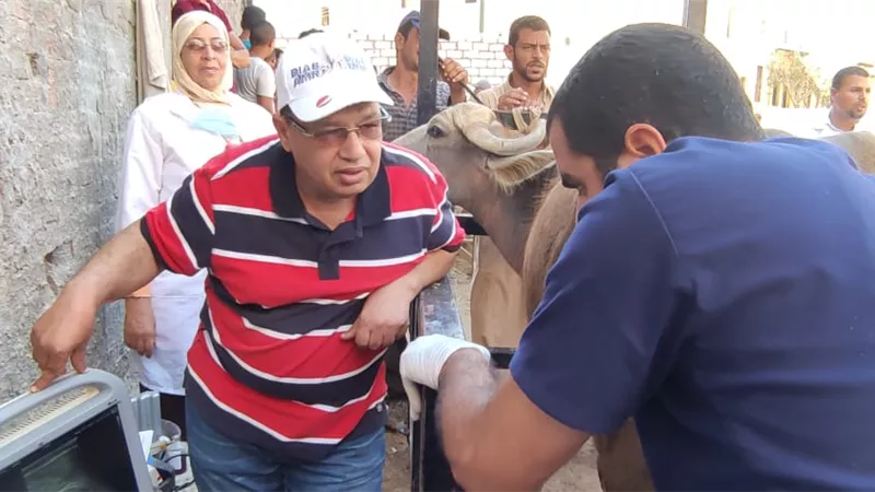الزراعة : التناسليات الحيوانية يقوم بعلاج وفحص ٥٢٧٤ حيوان بالبحيرة