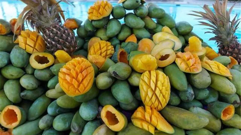 مهرجان الكنافة بالمانجو والفاكهة ينعش السياحة فى فنادق الغردقة ..صور