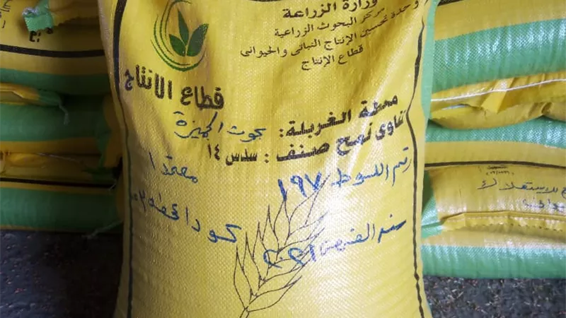 الزراعة: لأول مرة انتاج تقاوى المحاصيل الاستراتيجية.. وانشاء منافذ بيع لها