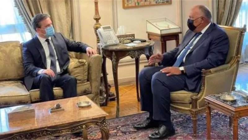 وزير الخارجية الصربي: لديكم رئيس قوي للغاية يمهد الطريق نحو مستقبل واعد