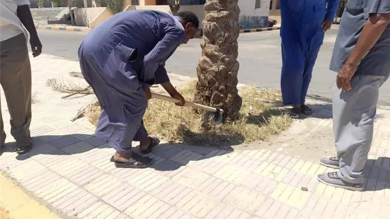 رئيس مدينة سفاجا تتابع اعمال صيانة الحدائق العامة والأشجار
