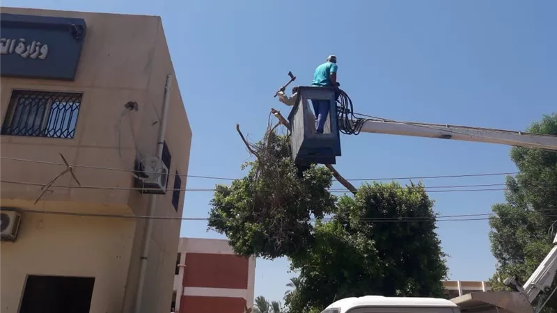 رفع ٣١ طن مخلفات فى حملة نظافة بقرى مركز القرنة غرب الأقصر