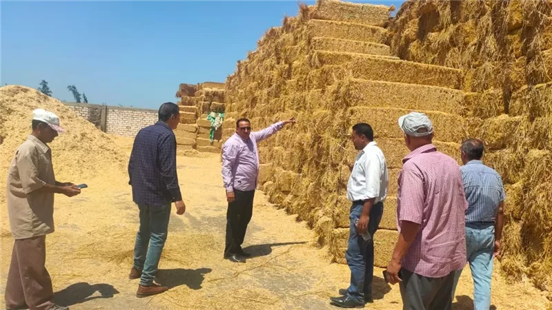 وداعا السحابة السوداء بدمياط