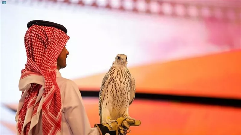بيع صقرين بـ141 ألف ريال في مزاد بالسعودية