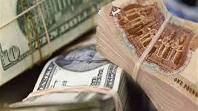 الدولار يحافظ على استقراره أمام الجنيه المصرى في بداية التعاملات اليومية
