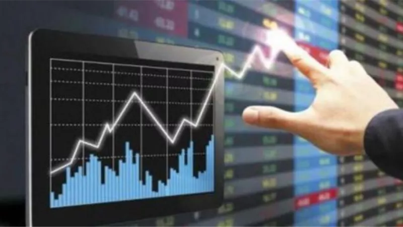 بالأرقام.. أهم تطورات الأسواق العالمية والمحلية من 13 حتى 20 أغسطس لعام 2021