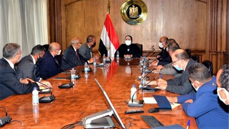 نيفين جامع: حريصون على جذب الشركات العالمية لتوطين صناعة السيارات