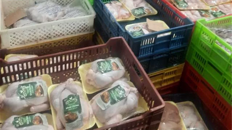 ضبط كميات كبيرة من الدواجن واللحوم غير صالحة بمجزر بشبين القناطر