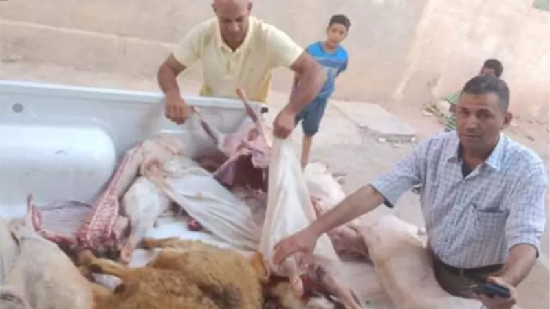 الشيباني: حملات علي محلات الجزارة بمطروح ..ضبط لحوم غير صالحة