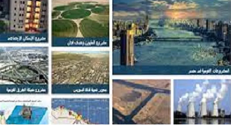 رؤيه ورديه ومشروعات تنمويه من اجل مستقبل افضل فى مصر