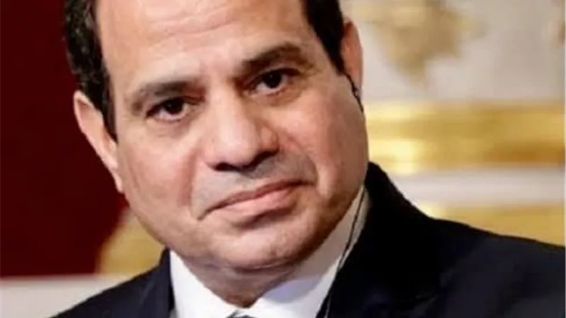 الرئيس : الإقتصاد المصرى أصبح قادراً على مواجهة التحديات