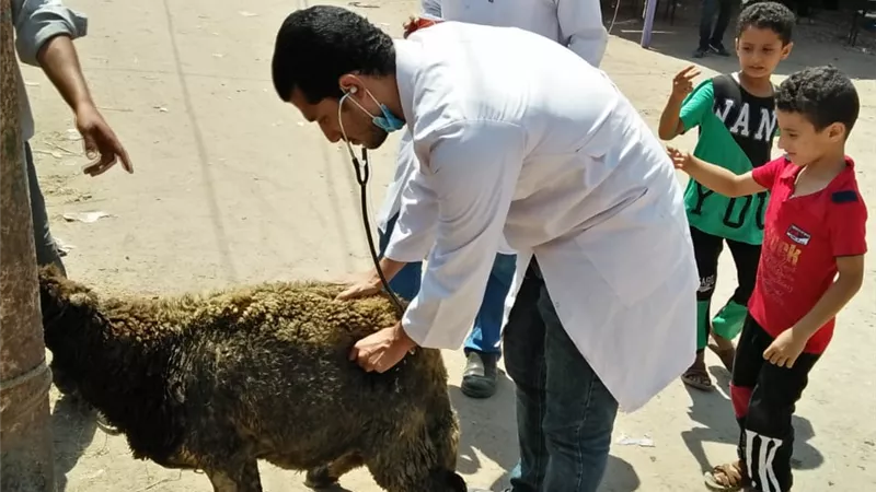 جامعة الزقازيق توجه قافلة شاملة لقرية كفر الربعمائة بمركز الحسينية .. صور
