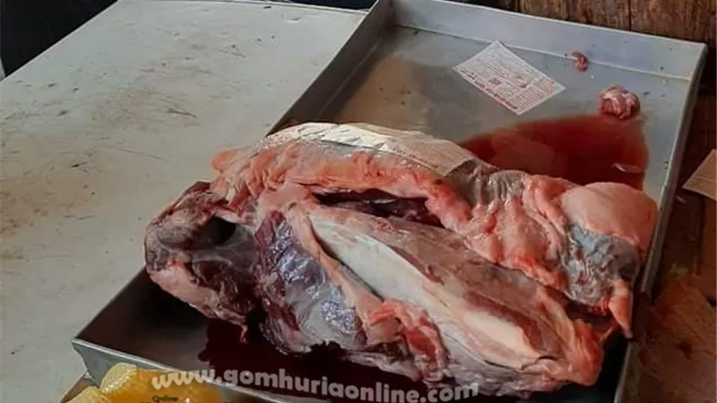ضبط لحوم مذبوحة خارج السلخانة ومواد غذائية منتهية الصلاحية بـ