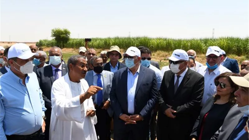 القصير: تعميم تجربة زراعة محاصيل القصب بالشتلات لدعم التحول إلى أنظمة الرى الحديث.. بالصور