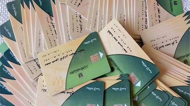 طرح ورق عنب وكرنب وسمان وبط مسكوفى على بطاقات التموين