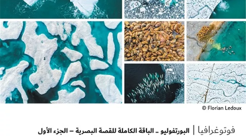 البورتفوليو .. الباقة الكاملة للقصة البصرية – الجزء الأول