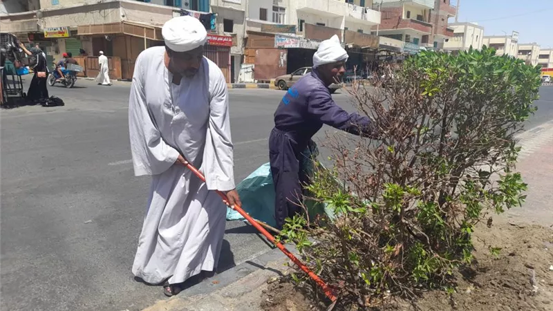 قص وتهذيب الأشجار بسفاجا لمواجهة تلوث الهواء