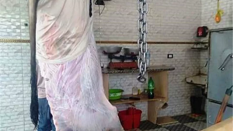 تموين الشرقية يضبط طن دواجن ولحوم منتهية الصلاحية خلال حملات بنطاق العاشر ومنيا القمح