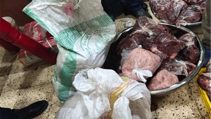 ضبط 4 اطنان من اللحوم غير صالحة للاستهلاك الادمى بالزقازيق