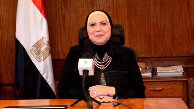 وزيرة التجارة: إعادة تشكيل الجانب المصري بمجلس الأعمال المصري النيجيري لمدة 3 سنوات