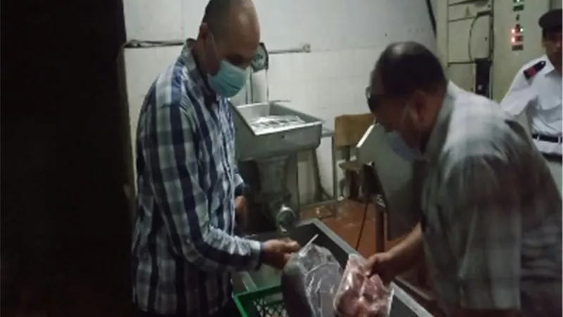 تحرير ٢٠ محضر أدوية مغشوشة ومهربة ولحوم منتهية الصلاحية بغرب شبرا الخيمة