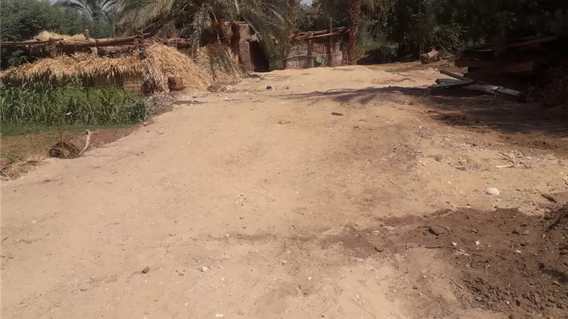 حملات موسعة لإنارة المقابر وإزالة المخلفات بالمدخل الصحراوى لقرية البحرى قمولا بقنا .. صور