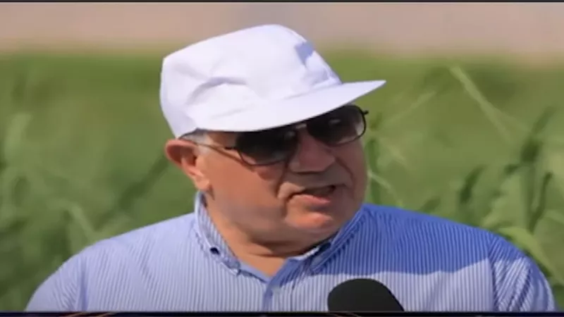القصير: زراعة قصب السكر بشتلات الرى بالتنقيط على مساحة ٣٢٠ ألف فدان بالصعيد.. فيديو