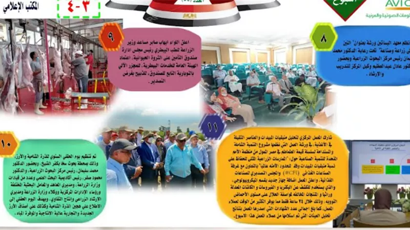 الزراعة في اسبوع .. انفوجراف