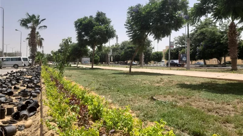 بوابة الجمهورية