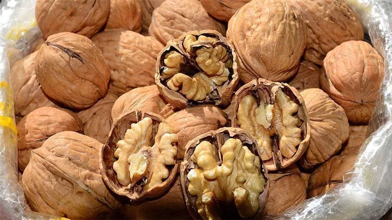 خاصية مذهلة للجوز تؤثر على مستوى الكوليسترول