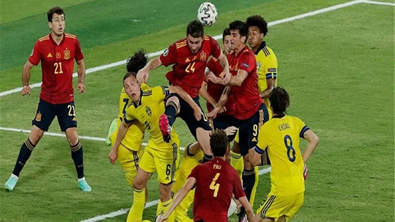 ارشيفية