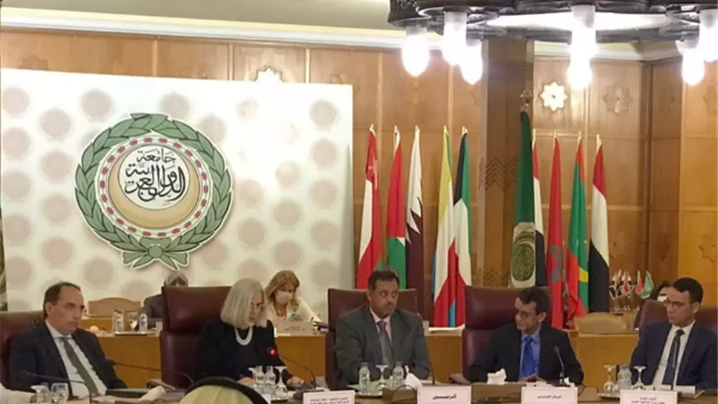 الباشا: نسعى لدخول النظام الأساسي للمحكمة العربية لحقوق الإنسان حيز النفاذ