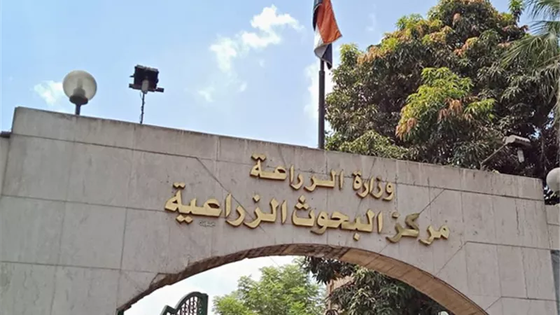 برنامج تدريبي حول المكافحة المتكاملة لأهم امراض الزراعات المحمية بالوادي الجديد
