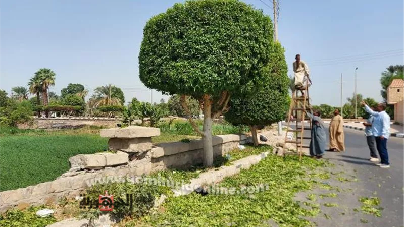 رفع ٣٥ طن اتربة ومخلفات فى حملة نظافة موسعة بإسنا جنوب الأقصر