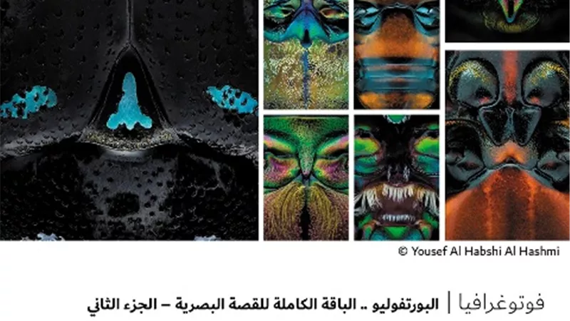 البورتفوليو .. الباقة الكاملة للقصة البصرية – الجزء الثاني