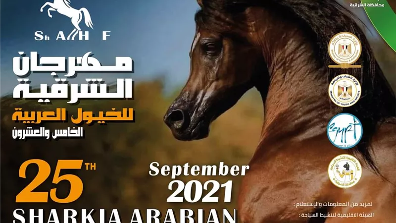 محافظ الشرقية يدعو الهواة والمحترفين لحضور مهرجان الخيول ببلبيس نهاية سبتمبر