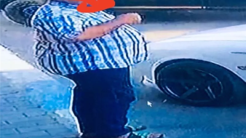 يحطم زجاج السيارات لسرقتها بالاسماعيلية والكاميرات كشفتة